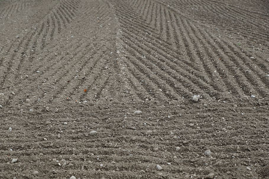 earth, arable, field, grey, black, pattern, background, stones HD wallpaper