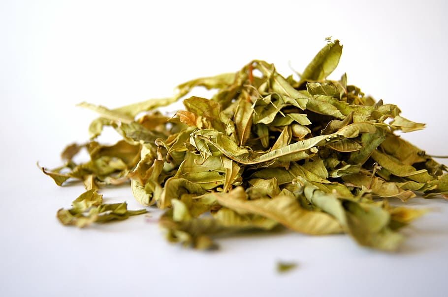 selective focus photography of pile of leaves, tee, herb, spice HD wallpaper