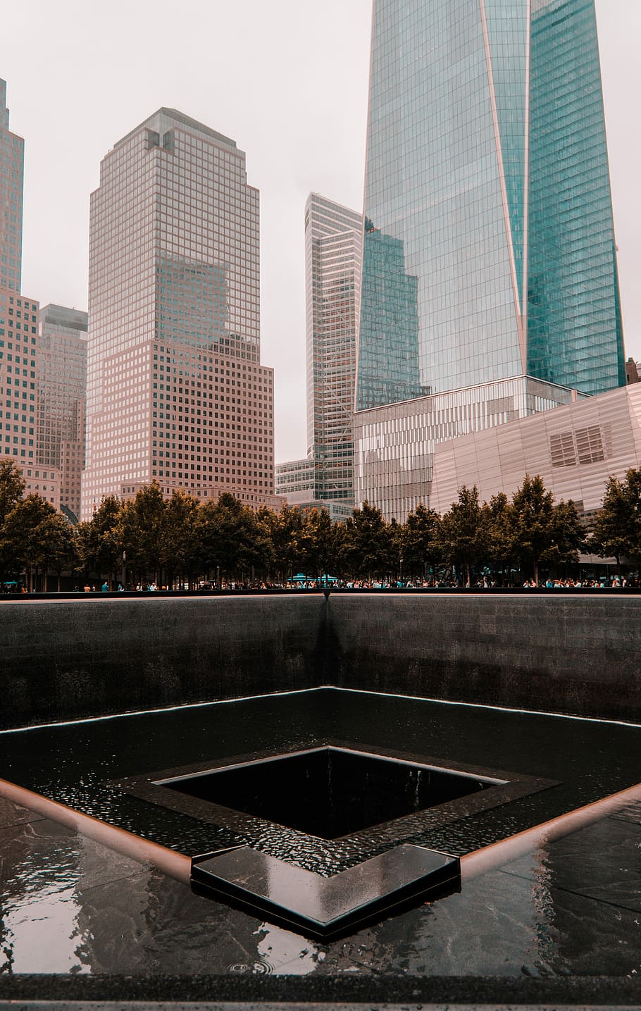 9/11, high-rise building beside tree, skyscraper, glass, architecture, HD wallpaper
