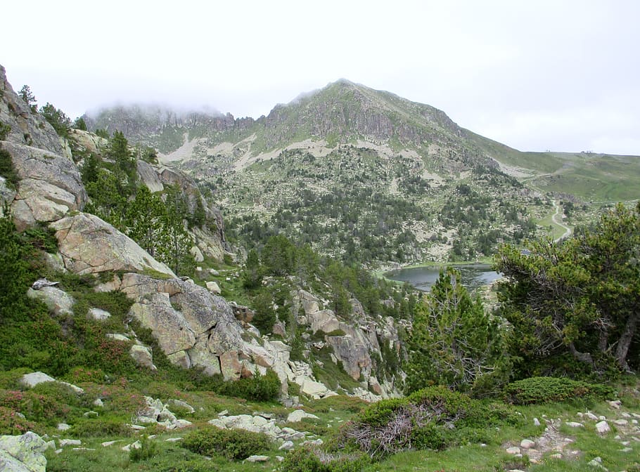 andorra, mountains, summer, beauty in nature, plant, sky, tranquil scene HD wallpaper