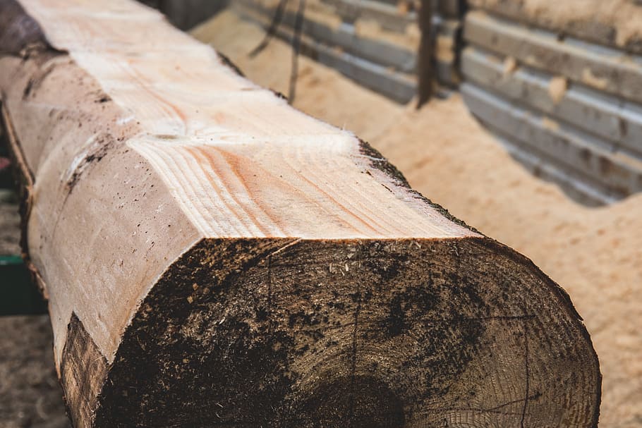 nature, brown, cut, environment, log, lumber, material, natural HD wallpaper