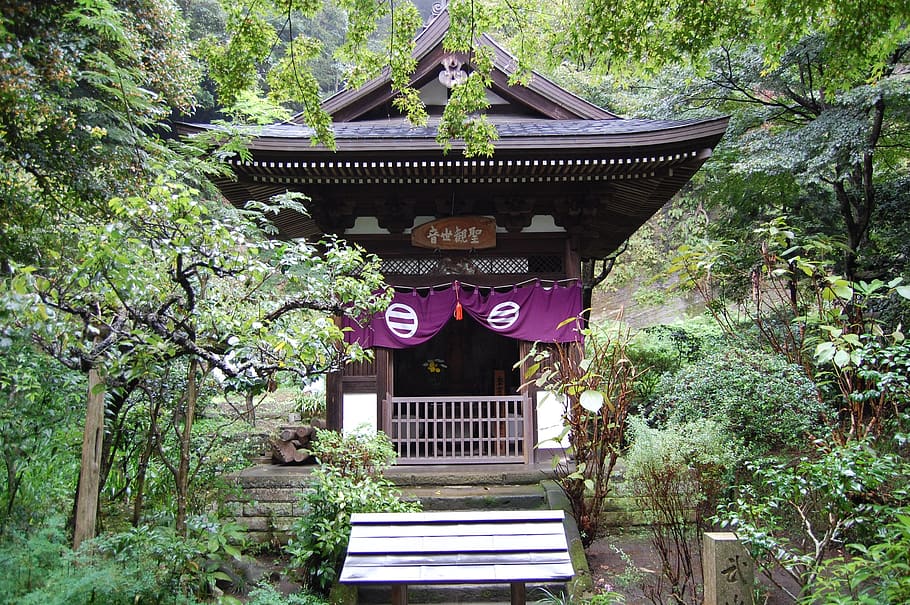 temple, buddhist, kamakura, architecture, plant, built structure HD wallpaper