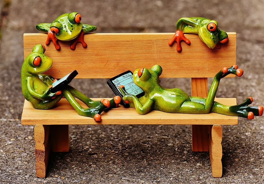 frogs, computer, bank, bench, relaxed, figure, funny, rest HD wallpaper