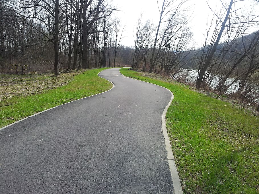 path, unknown, river, tree, plant, the way forward, direction HD wallpaper