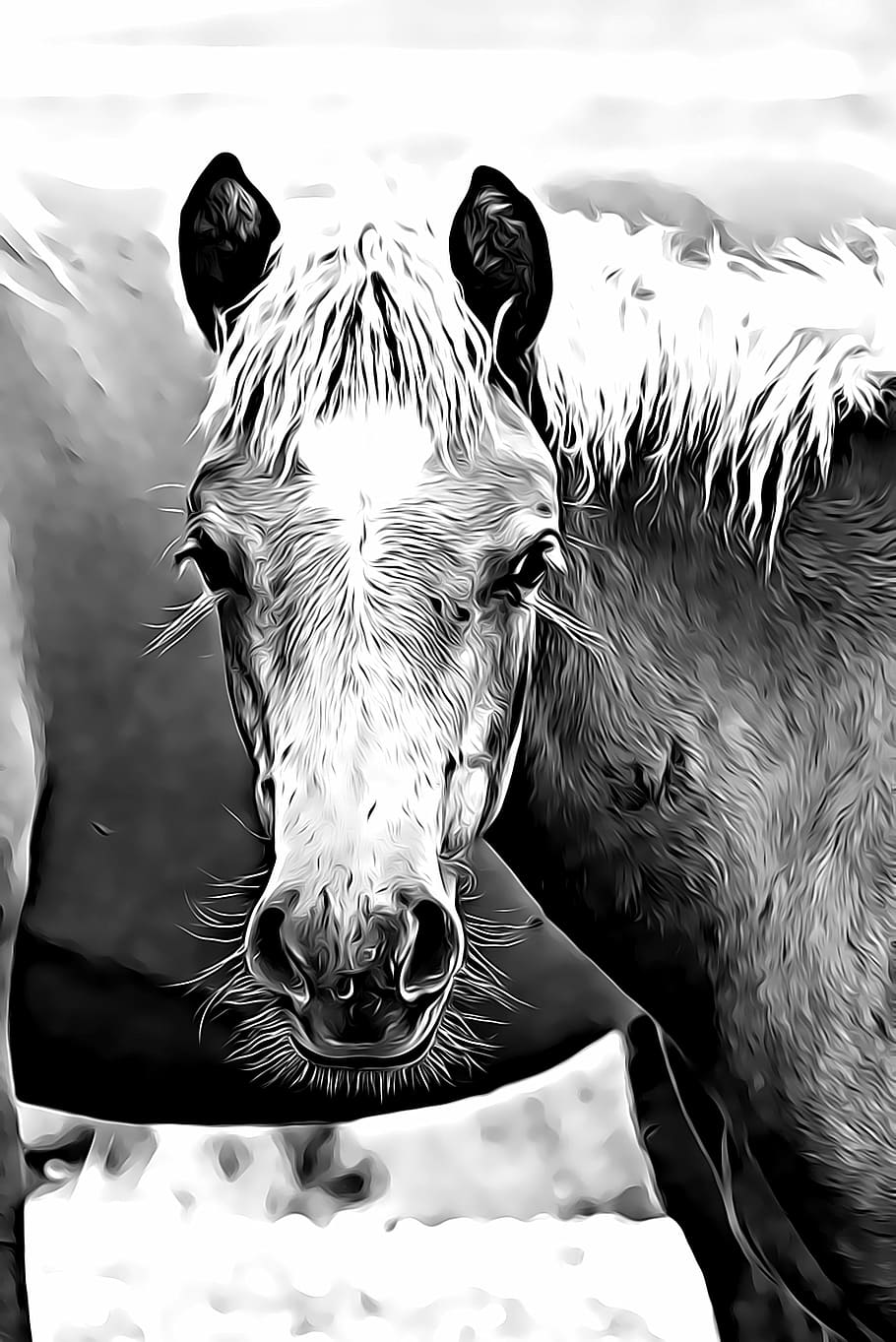 digital, graphics, horse, foal, mane, eye, is watching, nature HD wallpaper