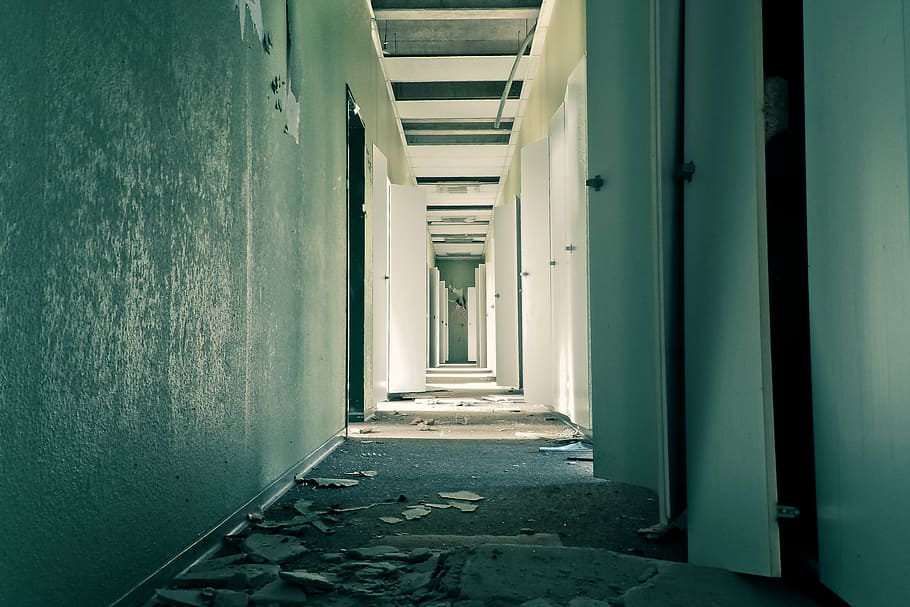 focus photo of gray concrete hallway, lost places, office, leave HD wallpaper