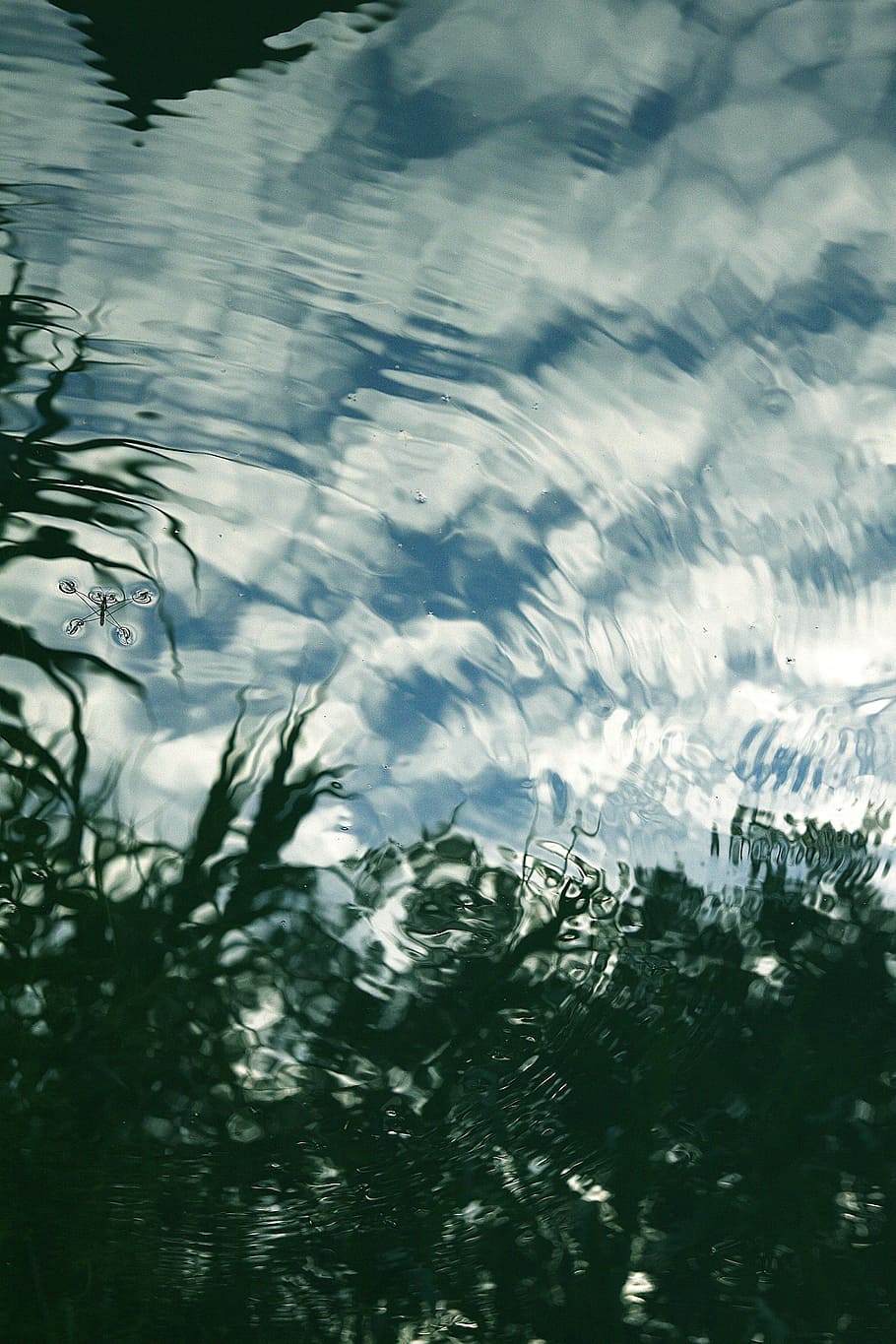 water, reflection, lake, clouds, river, stream, torrent, reflections HD wallpaper