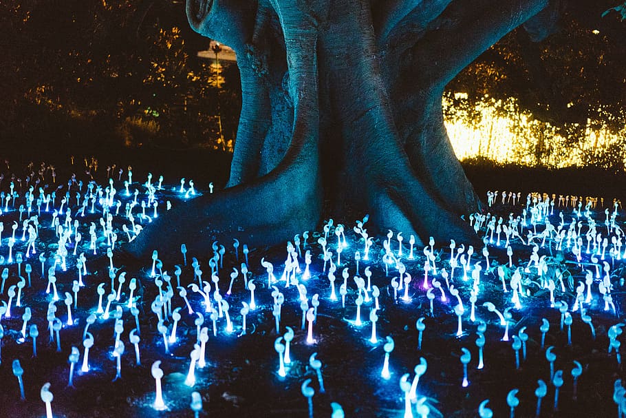 Avatar tree Avatar movie Avatar world