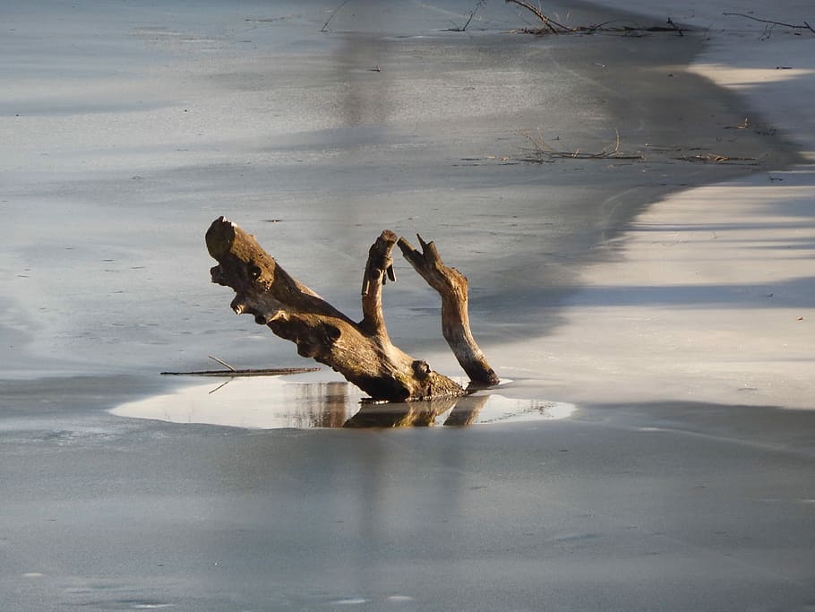 Konar, River, Ice, Winter, water, reflection, no people, animal themes HD wallpaper