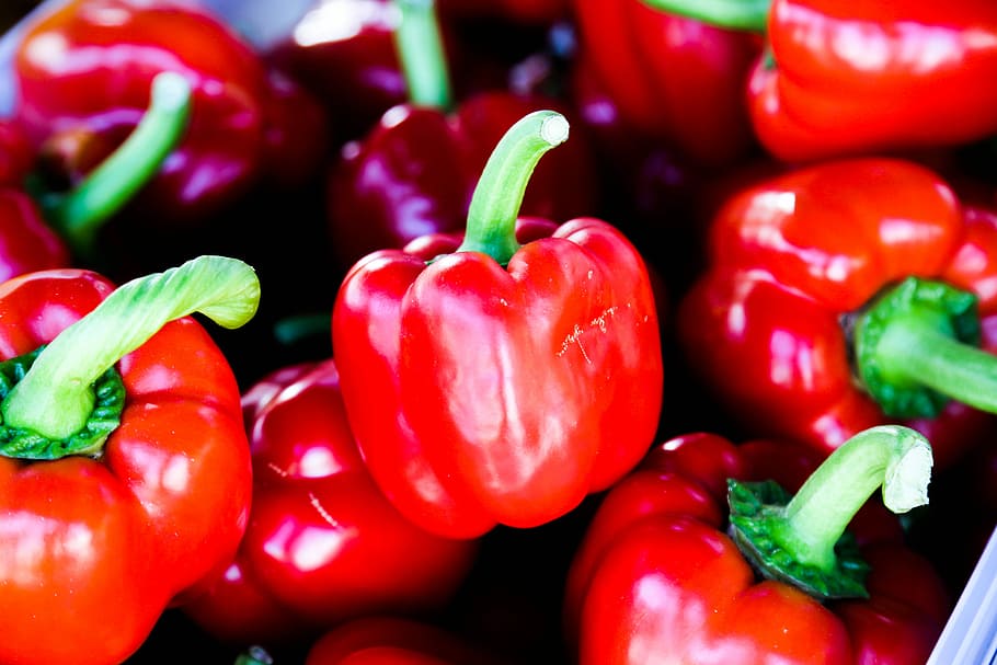 bunch of red bell peppers, red bell peppers in close up shot HD wallpaper