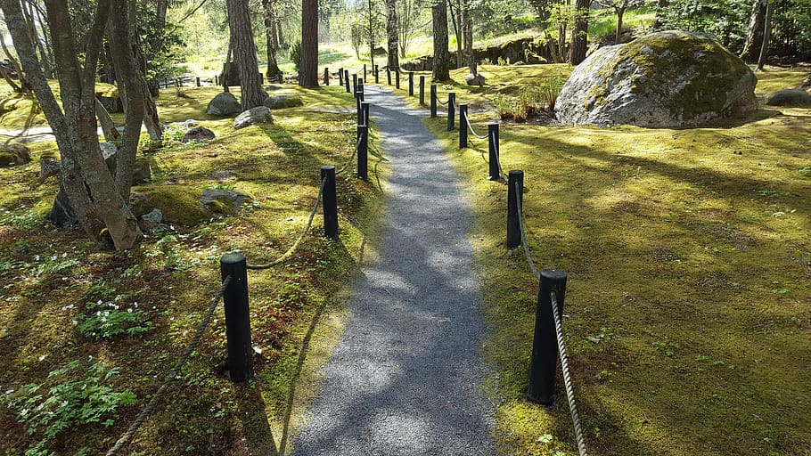 Park, Forest, Trail, Path, forest trail, forest path, no people HD wallpaper