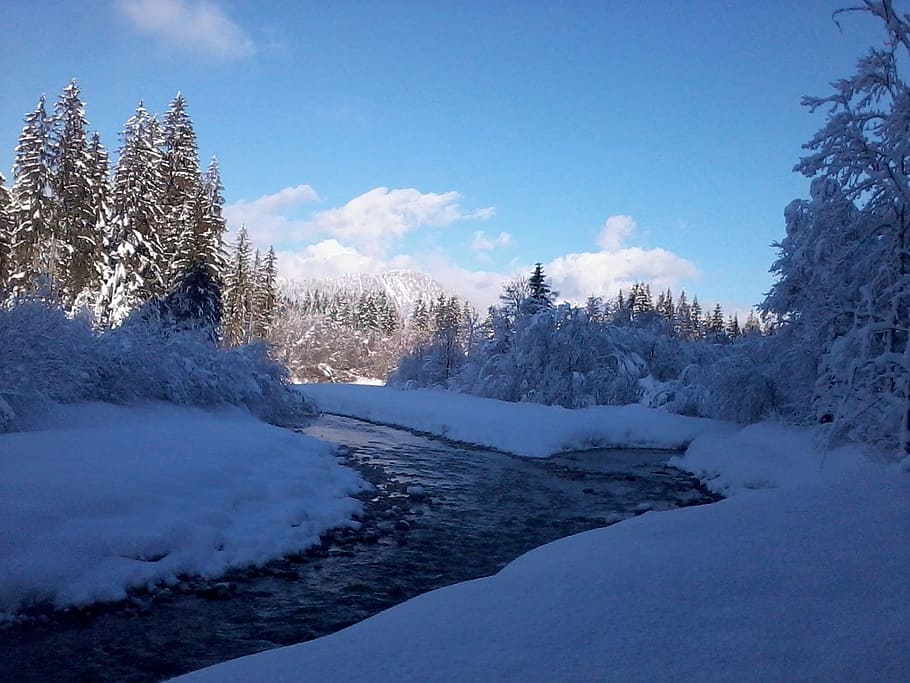 wintry, winter dream, bach, snow, water running, nature, trees HD wallpaper