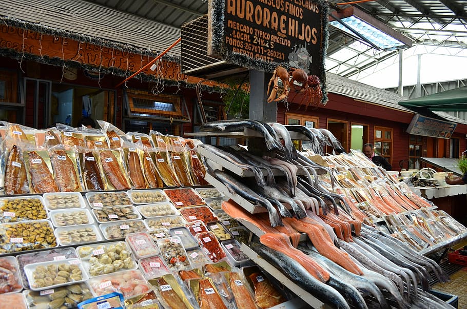 fish, market, chile, retail, large group of objects, choice HD wallpaper