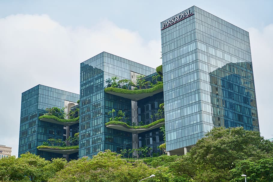 high-rise building near trees, Architecture, Window, structure HD wallpaper
