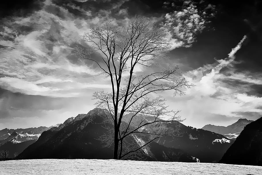 wintry, landscape, snow, mountains, mountain peaks, tree, sky HD wallpaper