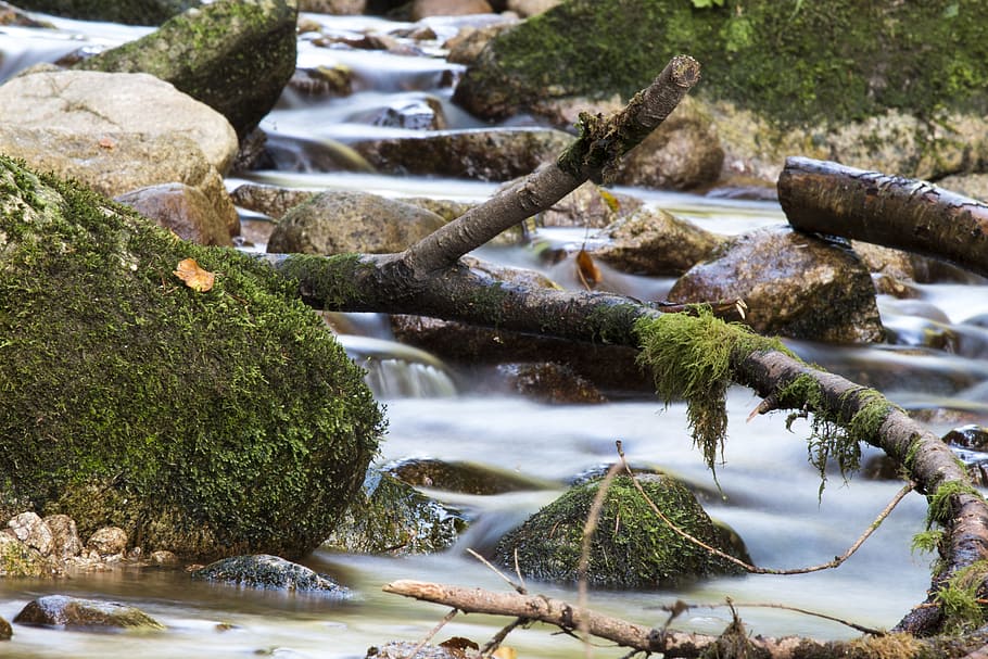 water, source, nature, local recreation, flow, rest, water flow HD wallpaper