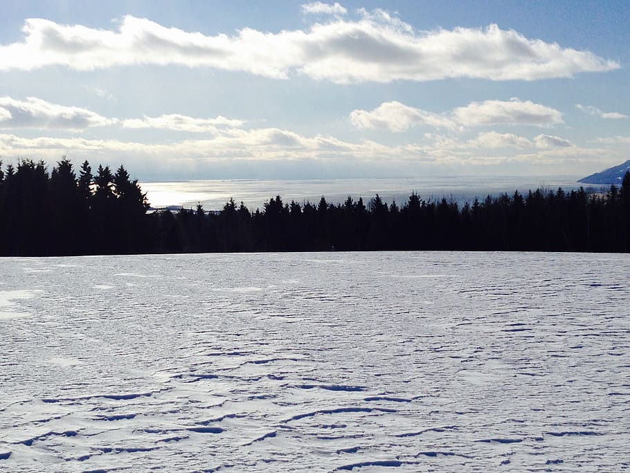 winter landscape, charlevoix, snow, tree, beauty in nature, HD wallpaper