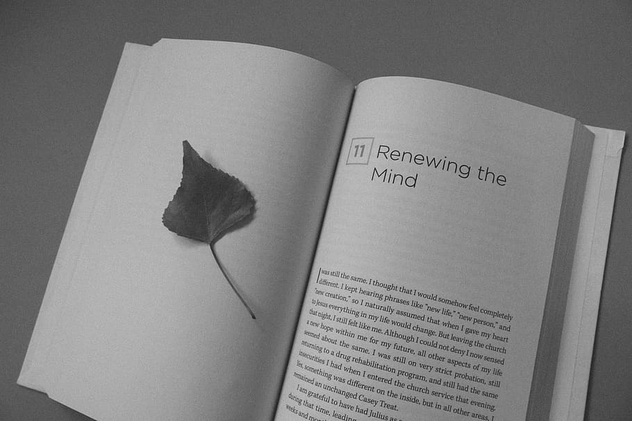 Renewing the Mind book page, open book, leaf, black and white HD wallpaper