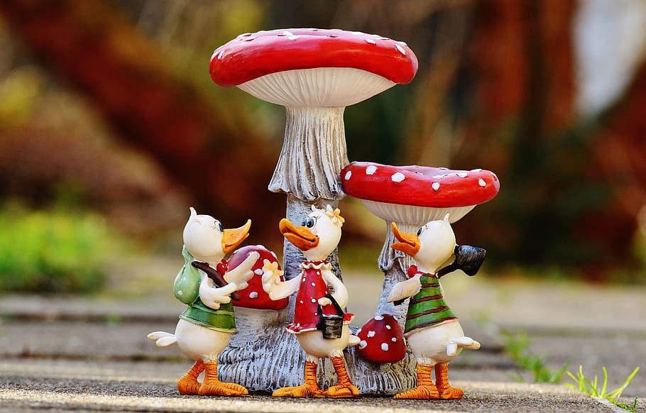 ducks, funny, group, mushrooms, cute, art stone, figure, plumage HD wallpaper