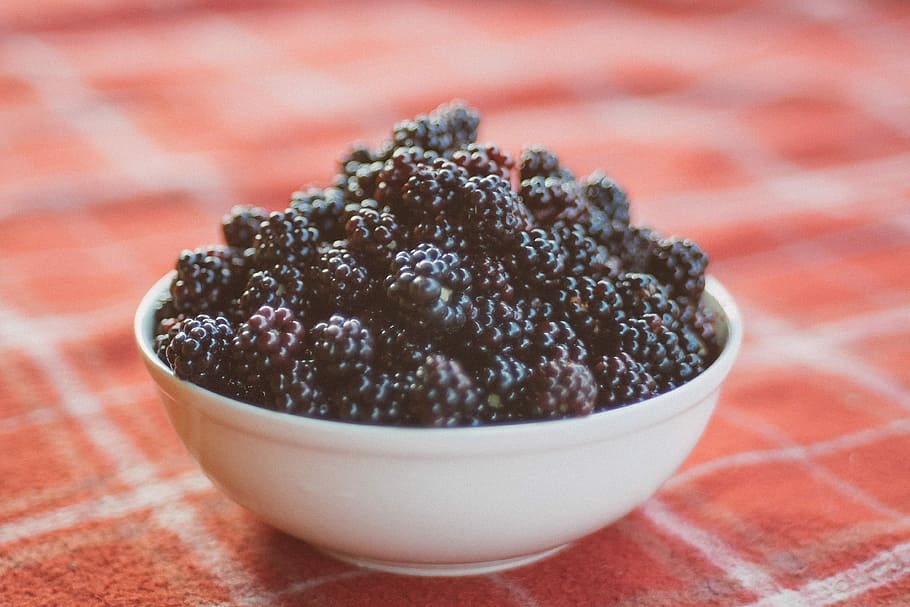 bowl of black berries, red and black berries in white ceramic bowl HD wallpaper