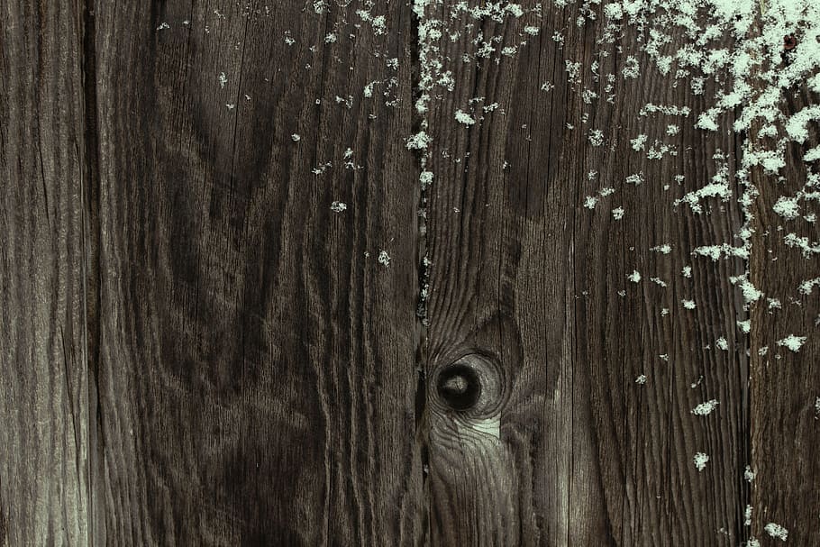 Wood, Winter, Cold, Lumber, Texture, wood - Material, backgrounds HD wallpaper
