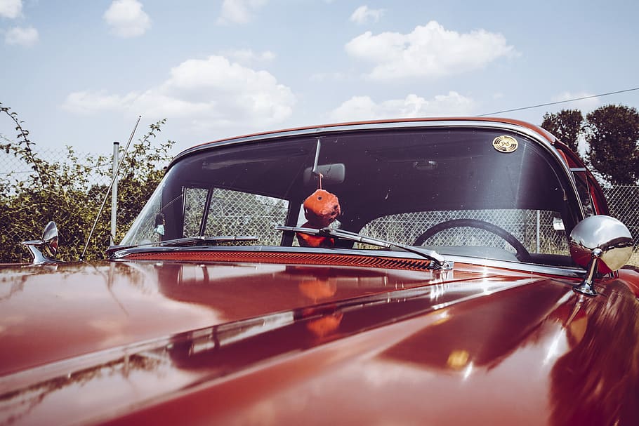 classic red car closeup photography, red car near green leafed trees HD wallpaper