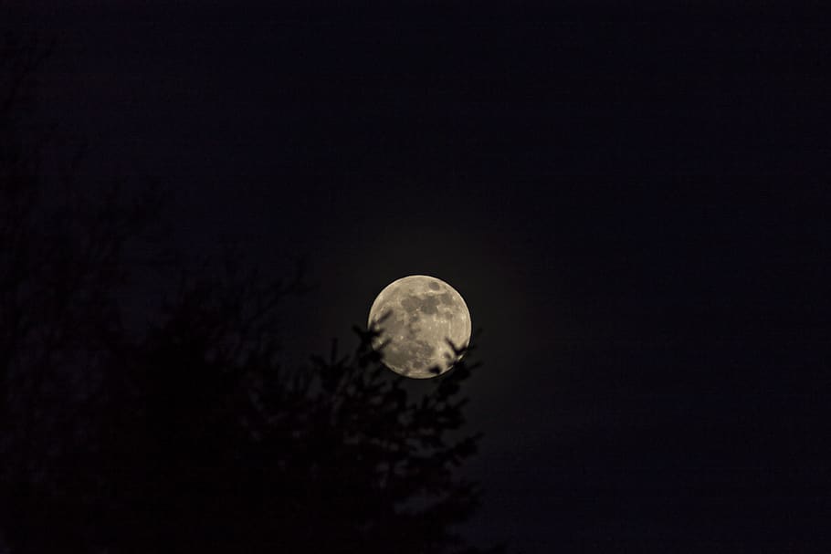 moon, sky, night, astronomy, science, space, full moon, no people HD wallpaper