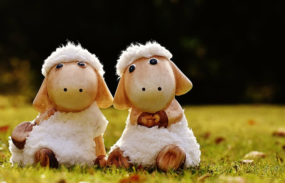 sheep, deco, ceramic, cute, figure, soft toy, wool, face, ungulate HD wallpaper