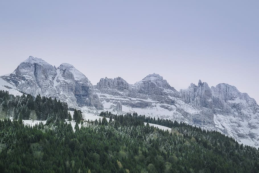landscape photograph of forest during winter, mountain covered with snow HD wallpaper