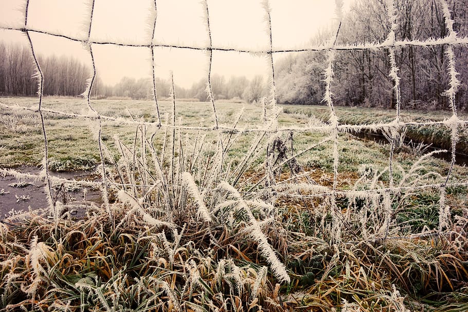 wire, mesh, hoarfrost, crystals, landscape, rural, winter landscape HD wallpaper