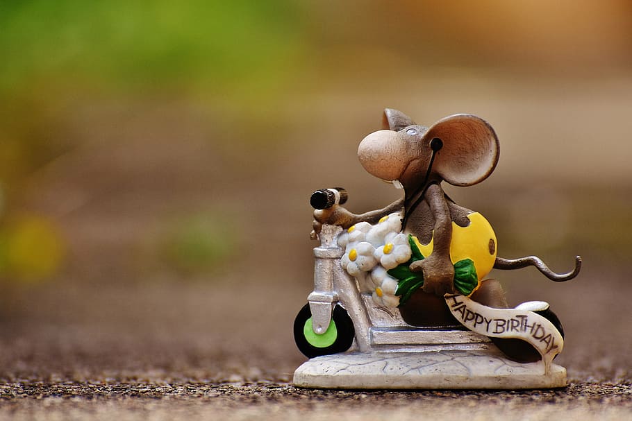 birthday, mouse, roller, figure, cute, greeting, card congratulations HD wallpaper
