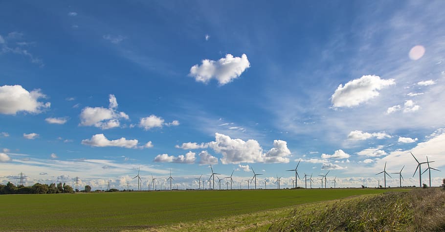 wind, wind farm, landscape, wind power, sky, cloud - sky, fuel and power generation HD wallpaper