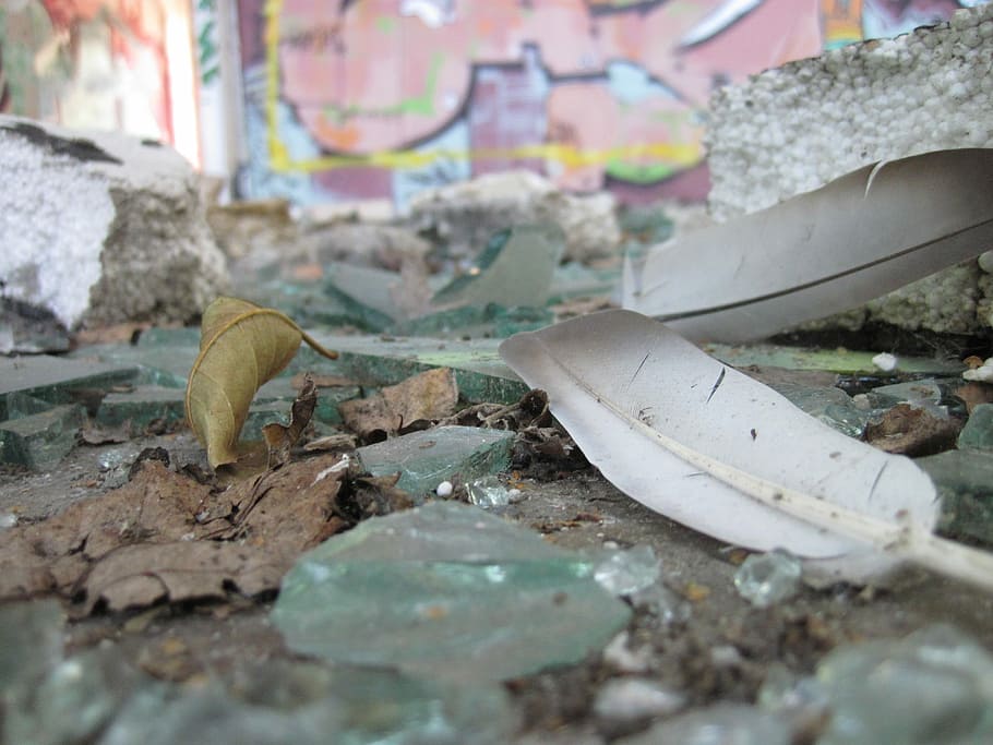Spring, Glass, Splitter, Shard, Dirt, destroyed, broken, graffiti HD wallpaper