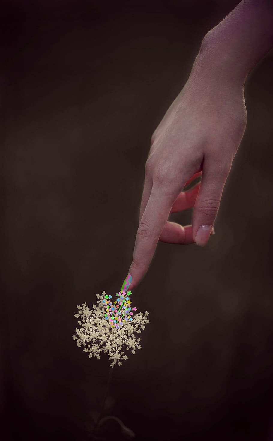 flower, hand, coloring, paint, flourished, human body part HD wallpaper