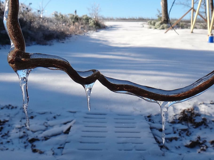 icicle, ice, vine, snow, winter, zing, frosty, cold, cold - Temperature HD wallpaper