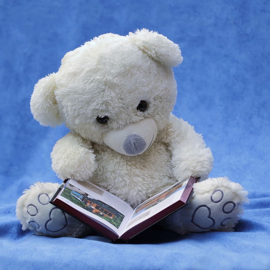 White Teddy Bear With Opened Book Photo, baby, child, cuddly, HD wallpaper
