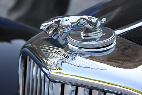 jaguar, cool figure, oldtimer, classic, auto, automotive, silver HD wallpaper