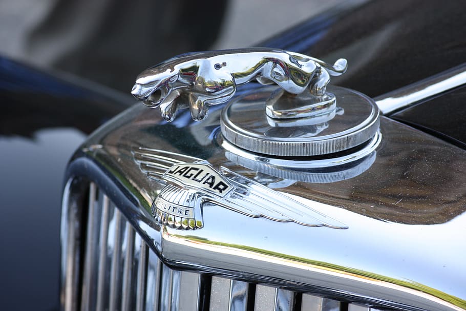 jaguar, cool figure, oldtimer, classic, auto, automotive, silver HD wallpaper