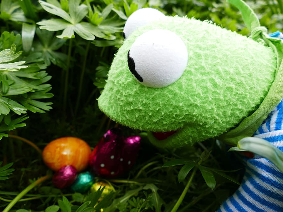 easter, search, easter eggs, easter nest, to find, spring, colorful HD wallpaper