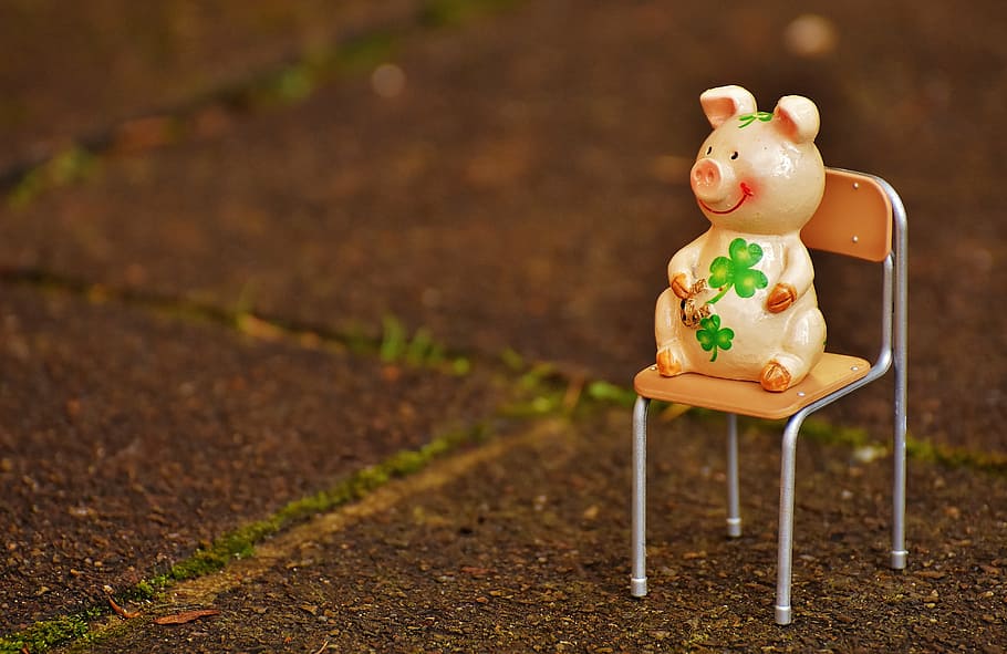 white pig figurine on chair, lucky pig, figure, lucky charm, funny
