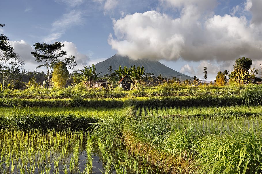volcano, mood, panorama, rest, landscape, volcanic, atmosphere HD wallpaper