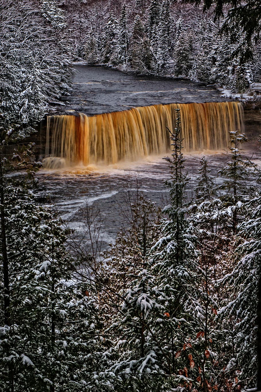 selective color photo of waterfalls surrounded with pine trees, waterfalls surrounded by trees covered by snow during daytime HD wallpaper