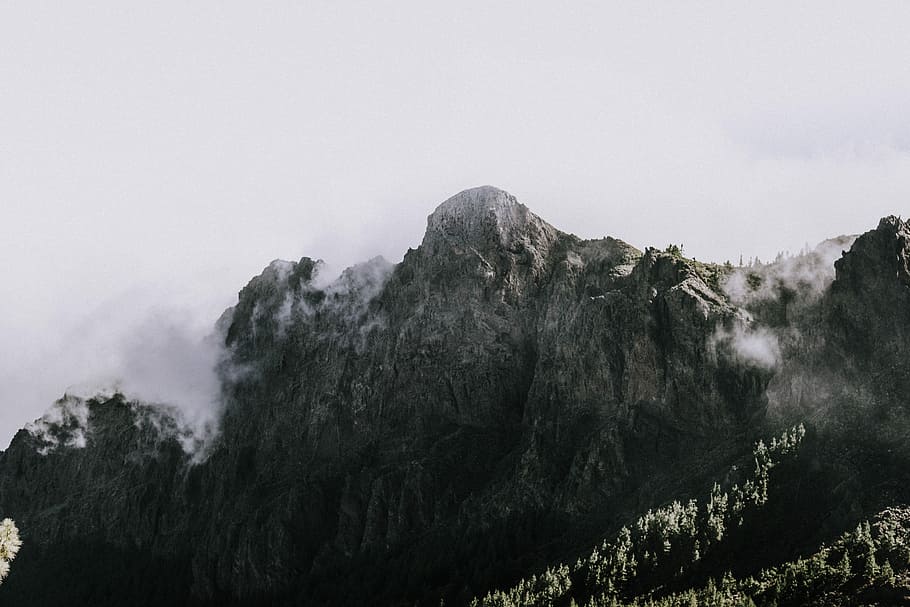 mountain with trees, gray mountain covered with white fog during day time HD wallpaper