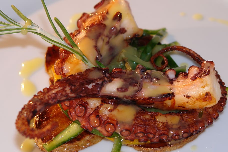 fried squid with sauce, seafood, octopus, restaurant, gourmet