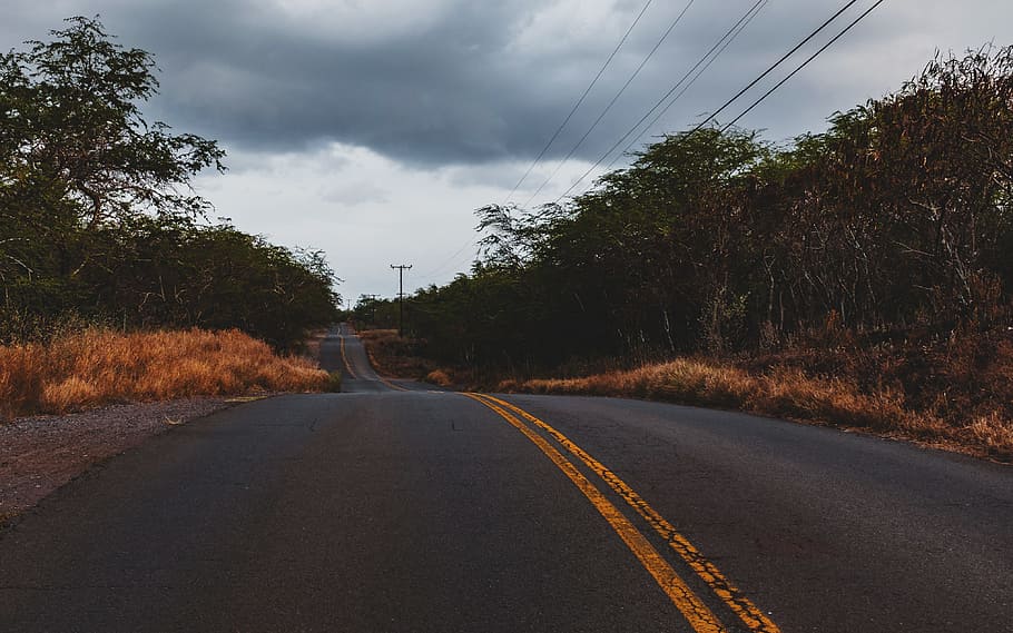 black concrete road between trees at daytime, trees on roadside under cloudy sky at daytime HD wallpaper