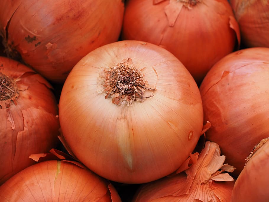 selective focus photography of onions, vegetable onion, food HD wallpaper