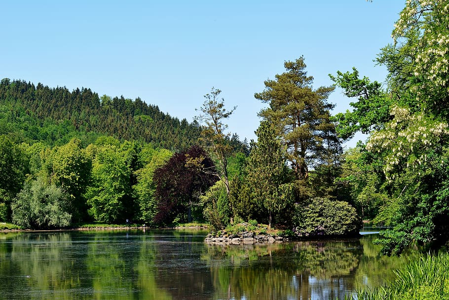 parklandschaft, park lake, thuringia germany, tree, plant, water, HD wallpaper