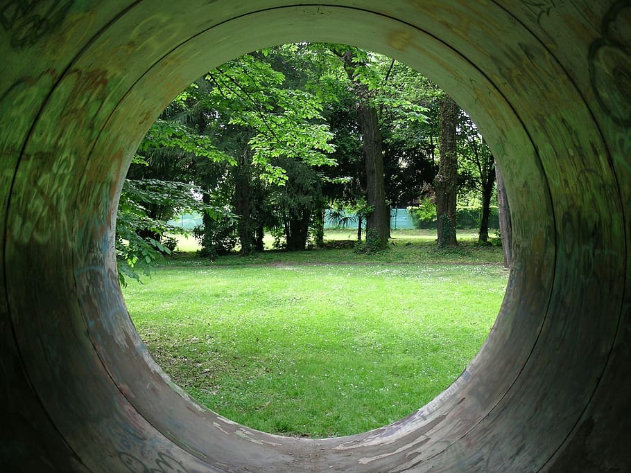 tube, circle, merate, plant, tree, grass, green color, nature HD wallpaper