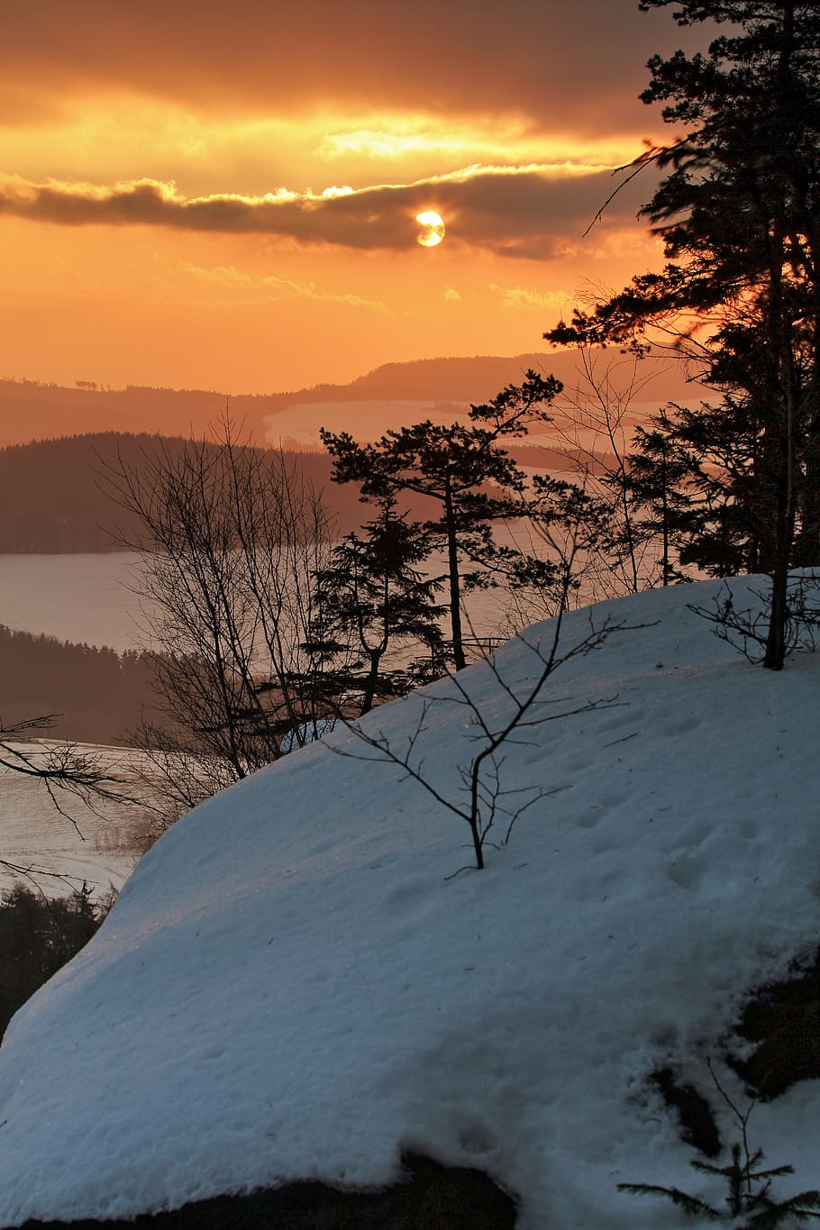 trees on snow field, east, mountains, winter, sun, landscape HD wallpaper