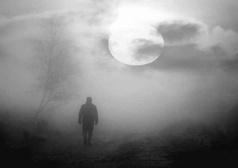 man standing near tree, mati, moon, sky, night, the fullness of HD wallpaper